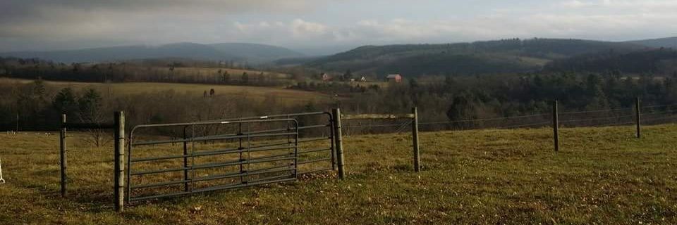 KristaLutzick's profile banner image