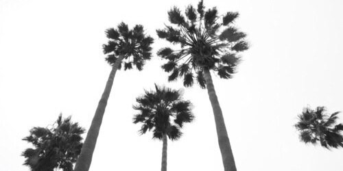JadeRPGSSSF's profile banner image