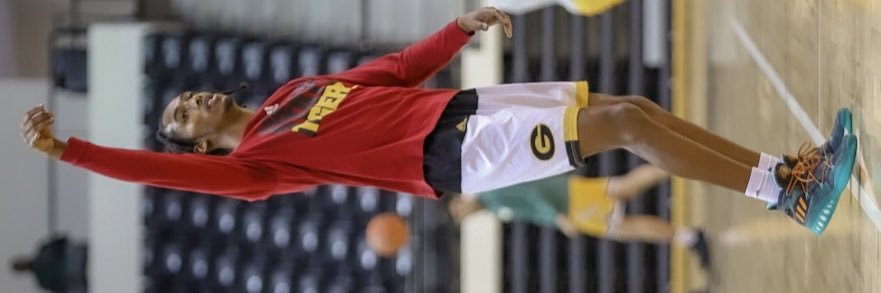 Prince Moss banner