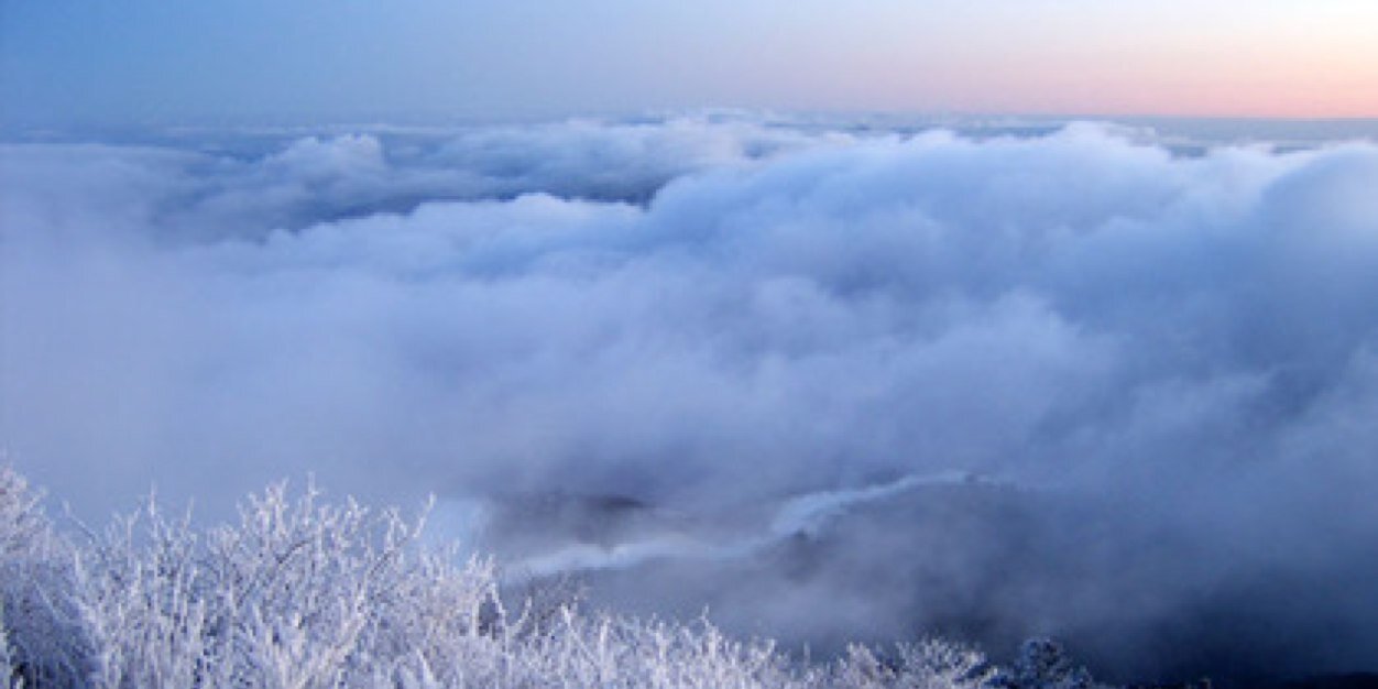 mt9931's profile banner image
