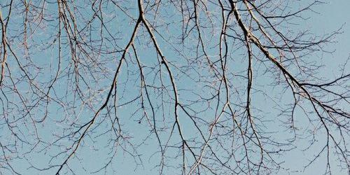 . banner