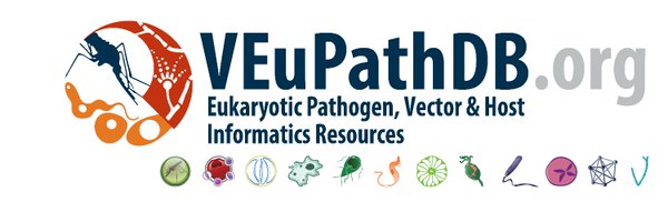 veupathdb Profile Banner