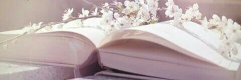 d_Shefteria's profile banner image