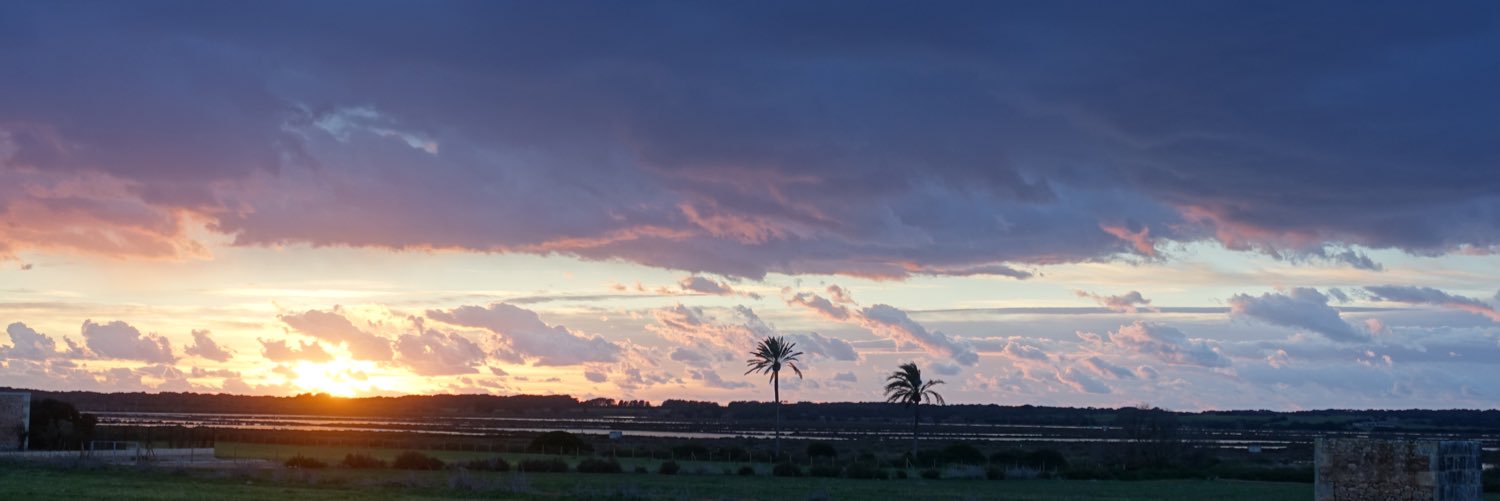 mateumn's profile banner image