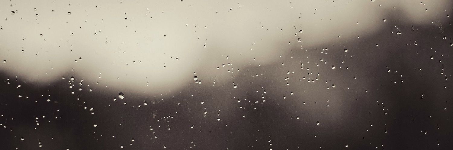 cali__dani's profile banner image