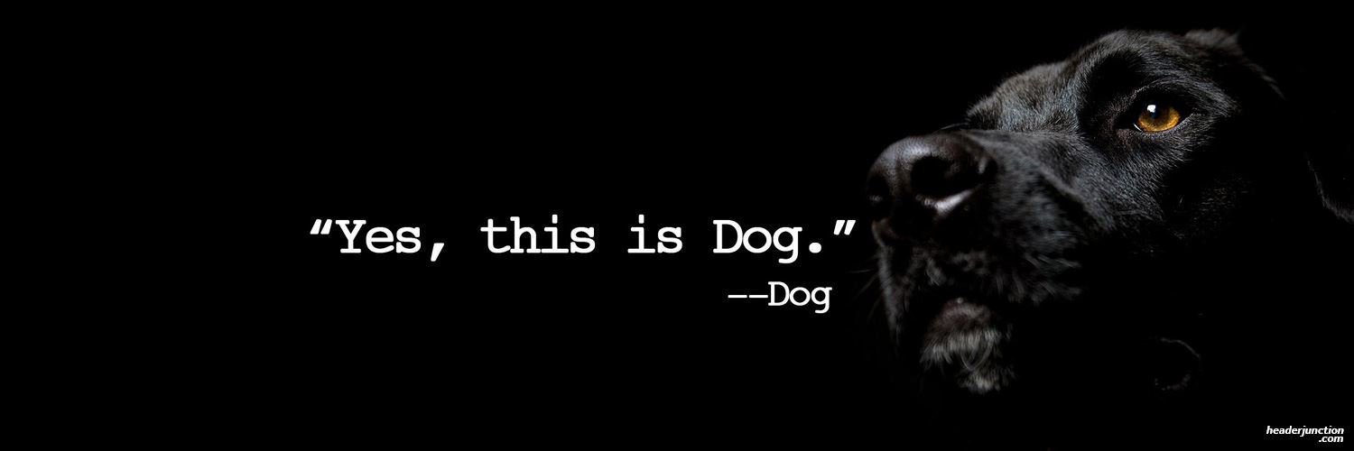 KipperWylie's profile banner image