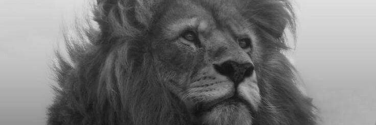 KeiithGarry's profile banner image