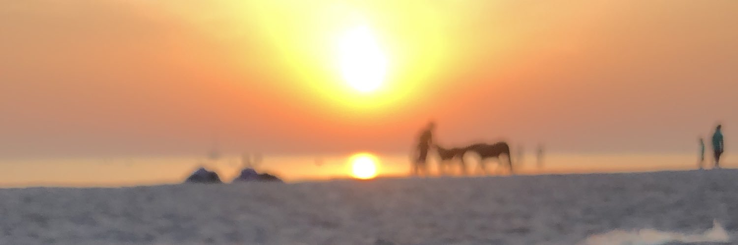 vanWMo's profile banner image