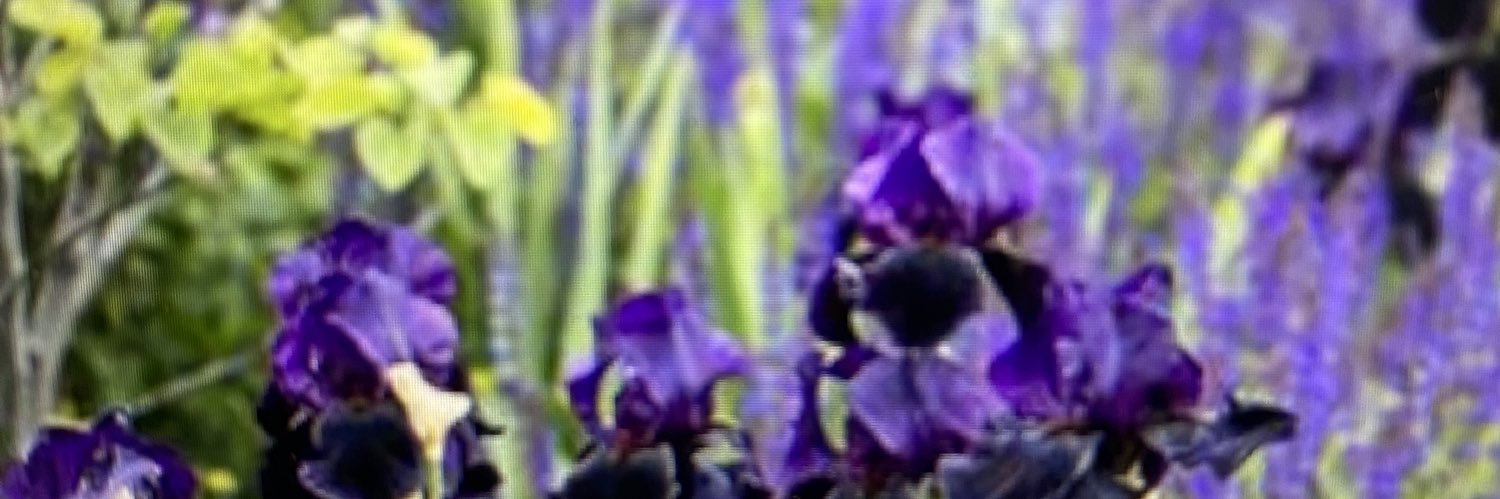 lolo1967's profile banner image