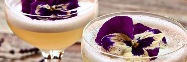 Fee_natic Profile Banner