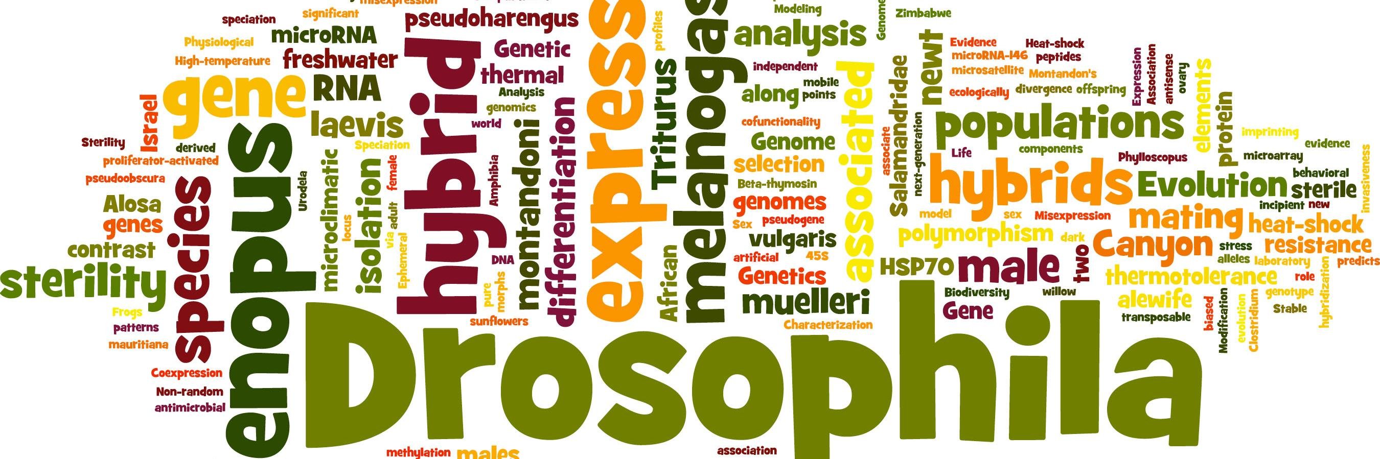 Pawel Michalak banner