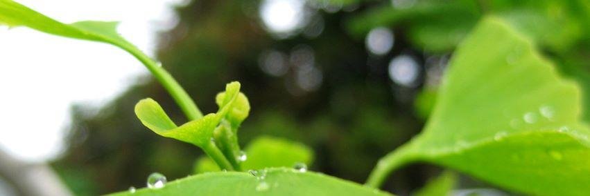 eatingcleanmag's profile banner image