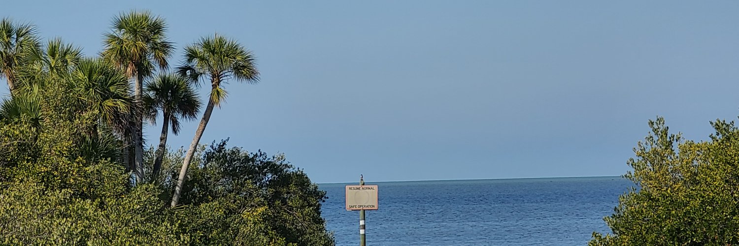lunachick25's profile banner image