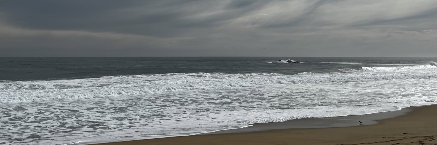 Rodrigo P.D. banner