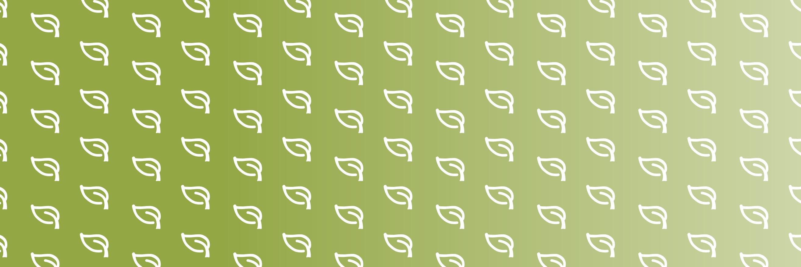 SCGreen_Home's profile banner image