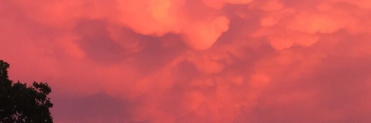 jneale90's profile banner image