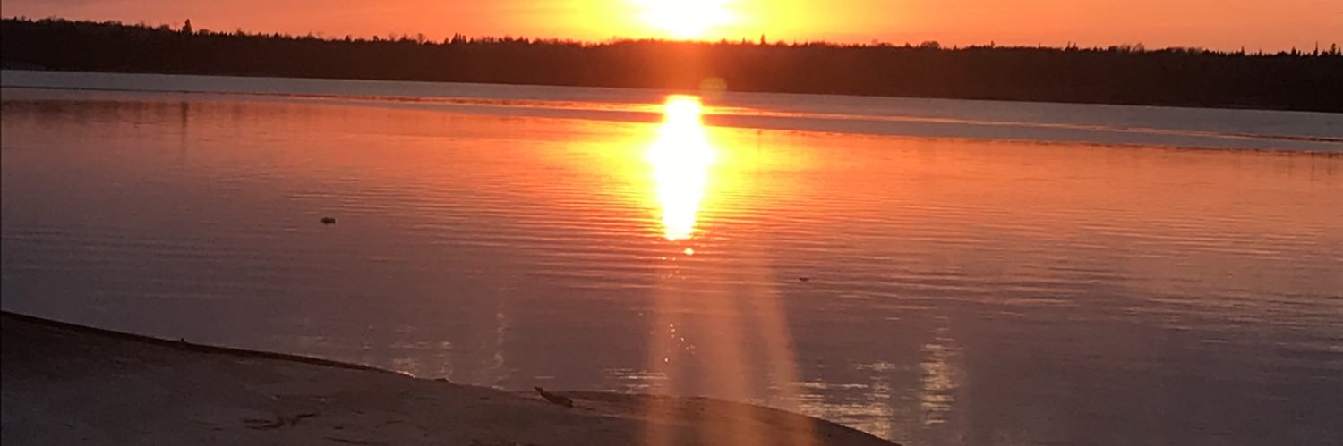 michelledequier's profile banner image