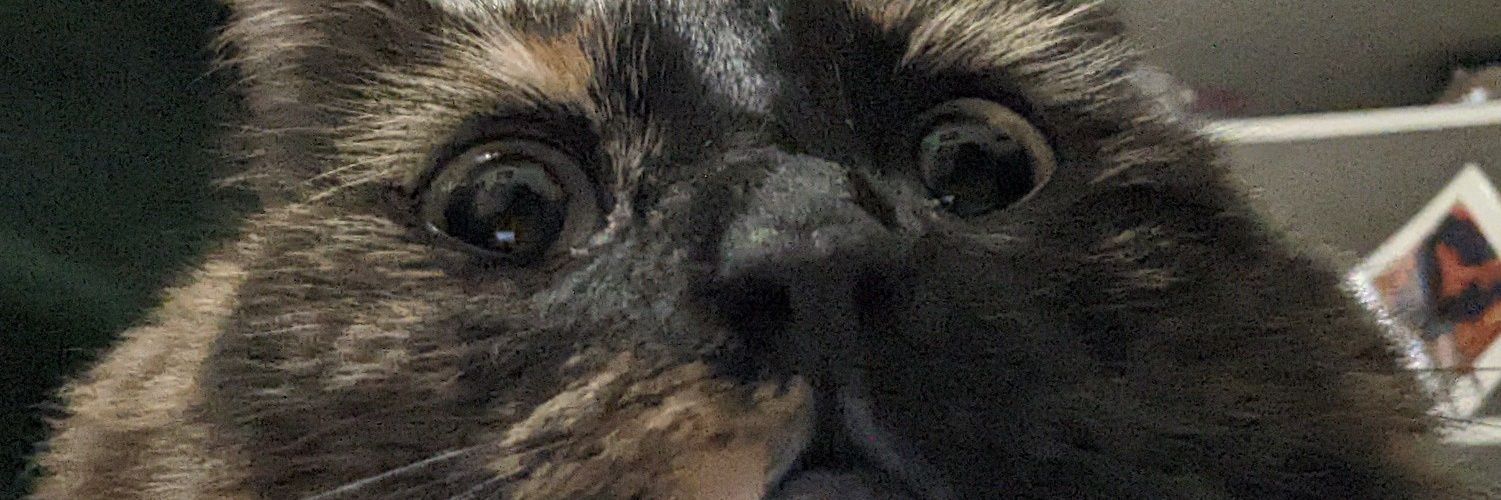 Dannyvoboy's profile banner image
