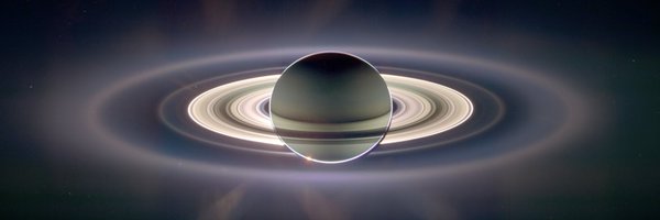 ThisIsDAO Profile Banner