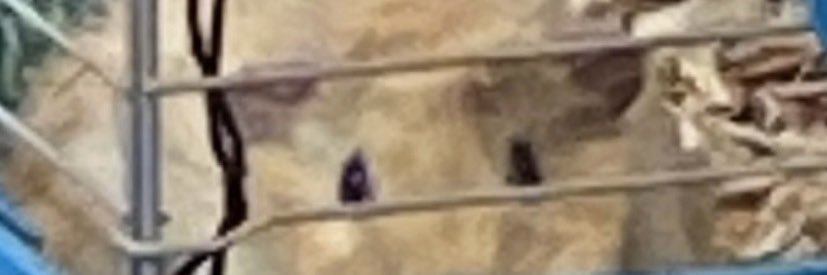 Ambrose_Tierney's profile banner image