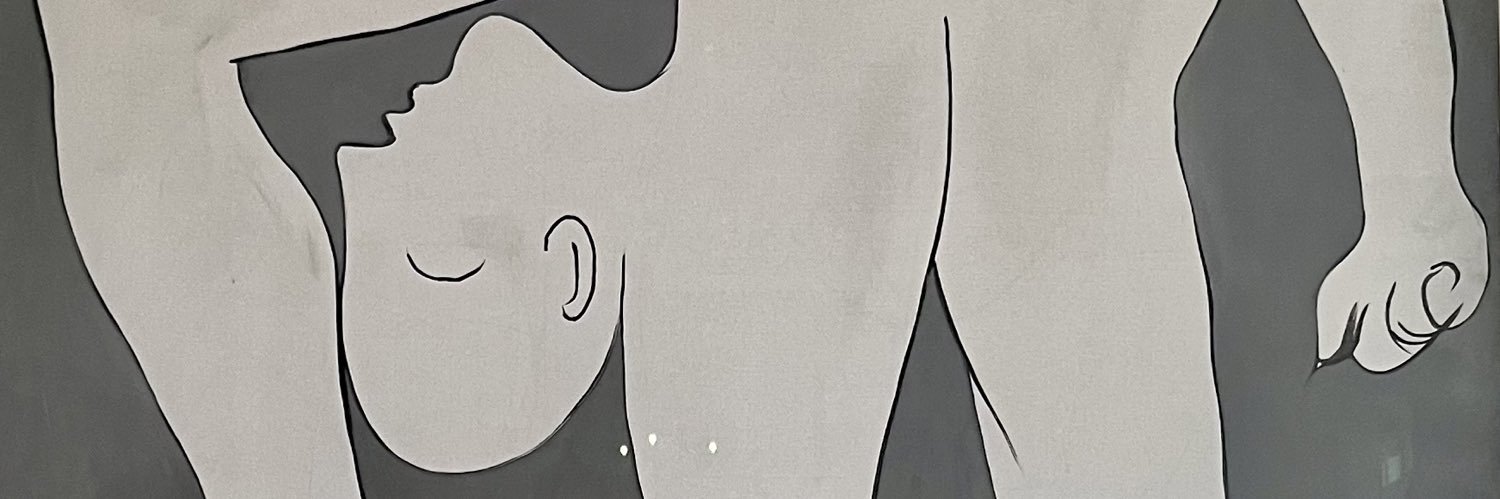 CicaCartaxo's profile banner image