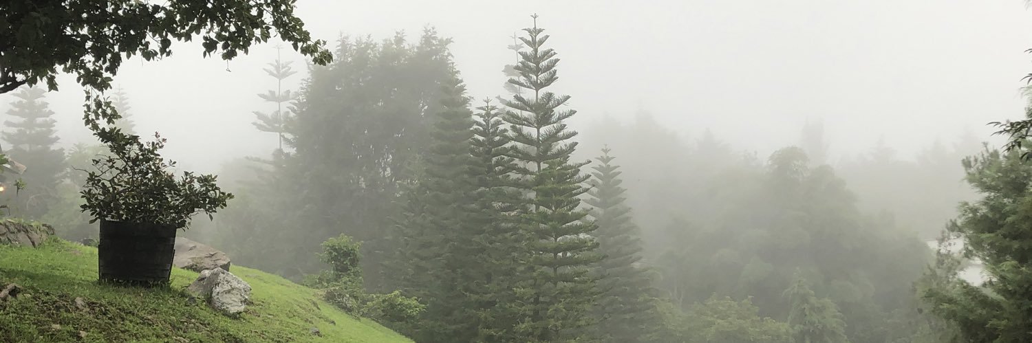 chris_cor9's profile banner image