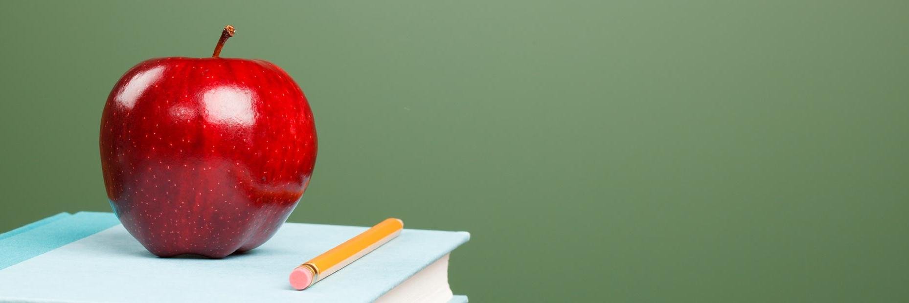 Lindsey Renaud banner