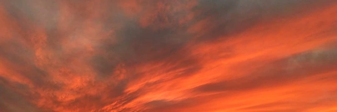 flipalooloko_'s profile banner image