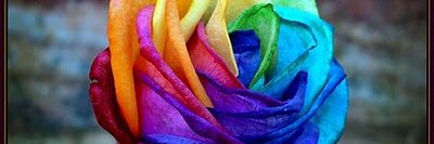FelisRoMartin's profile banner image