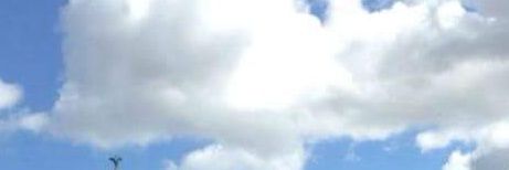 mctiguep's profile banner image