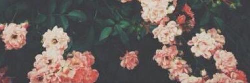aubreydjohnson's profile banner image