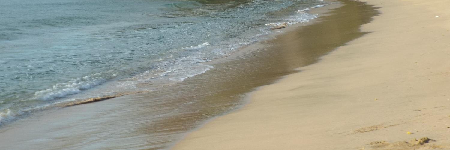 PaulaClarke's profile banner image