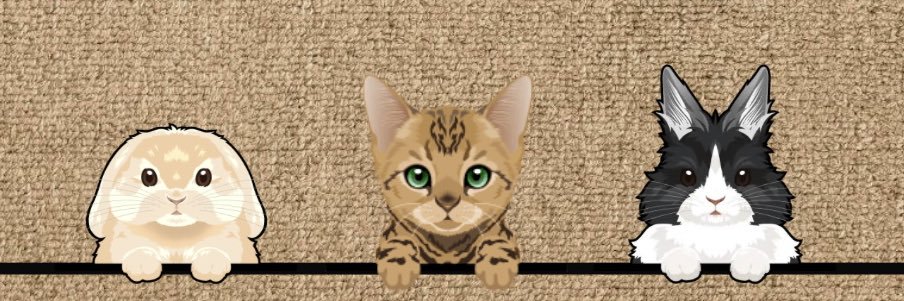 vallbtt's profile banner image