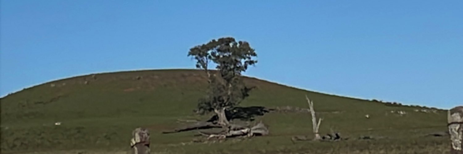 chececiqueonda's profile banner image