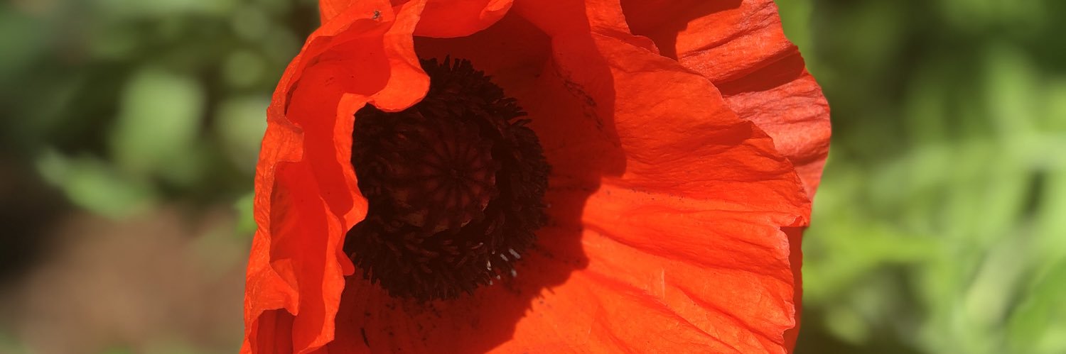 pkcobb72's profile banner image