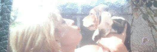 Any banner