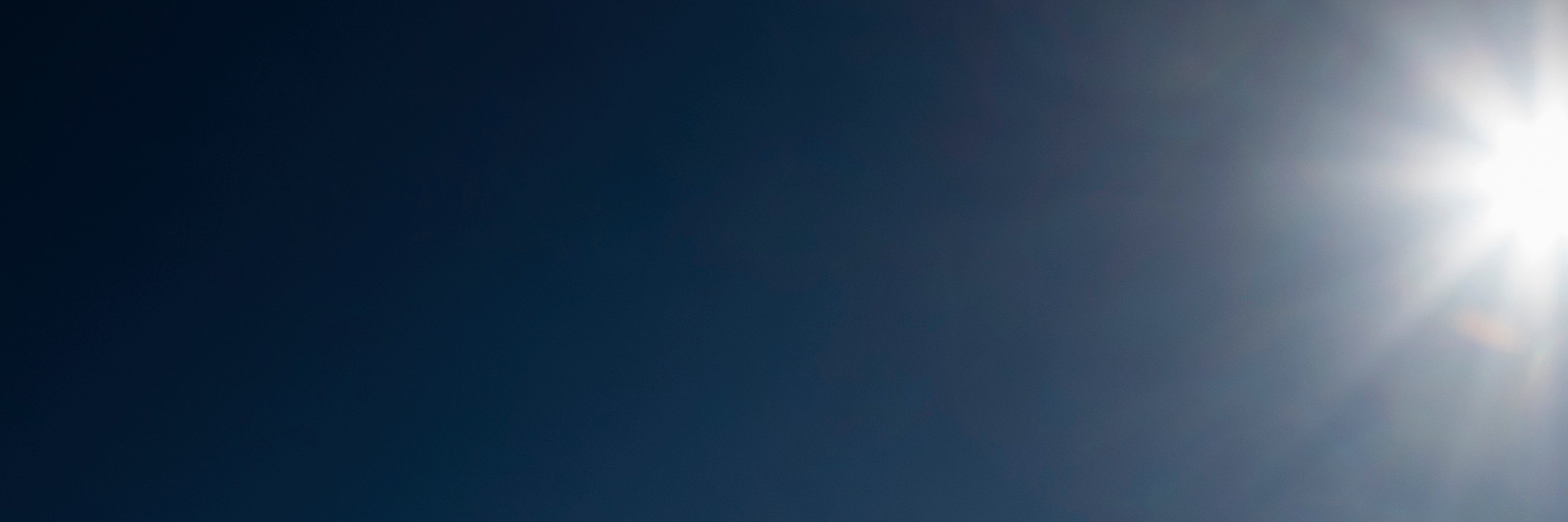 Iddo Goldberg banner