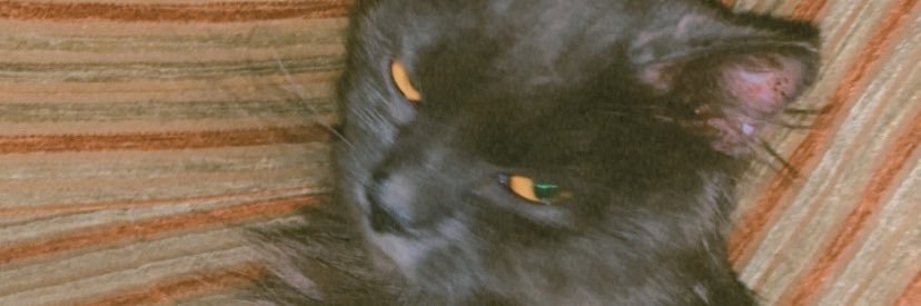 windachlan's profile banner image