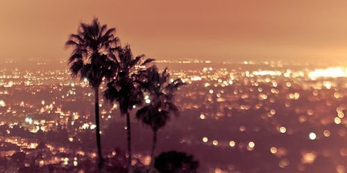 javocho's profile banner image