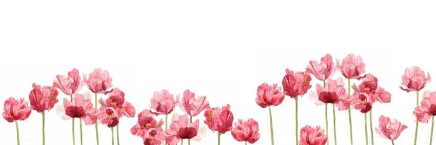 Mary Kendal Alias banner