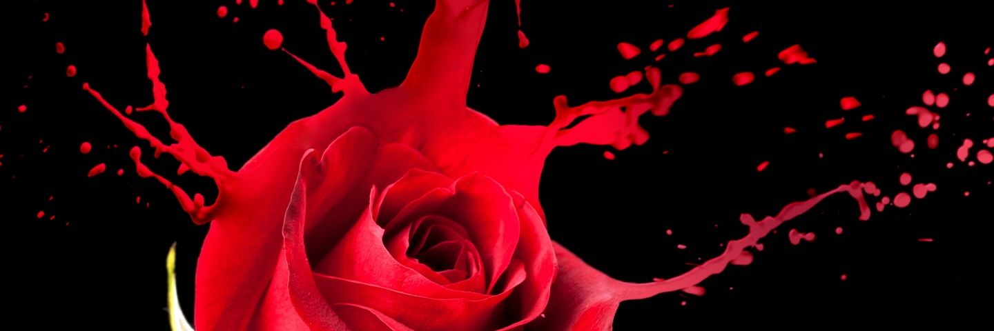 StephyWrites's profile banner image