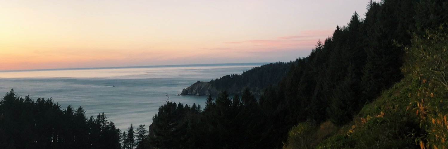 Liv_Rye's profile banner image