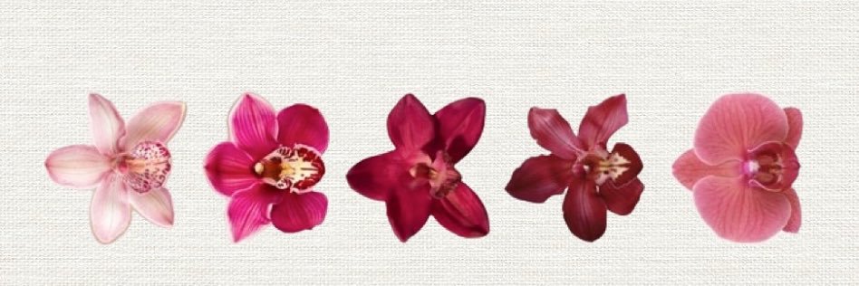 _marahibb's profile banner image