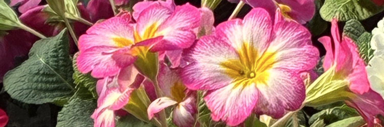 mariidoblasSL's profile banner image