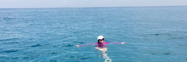 SarahESchafer Profile Banner