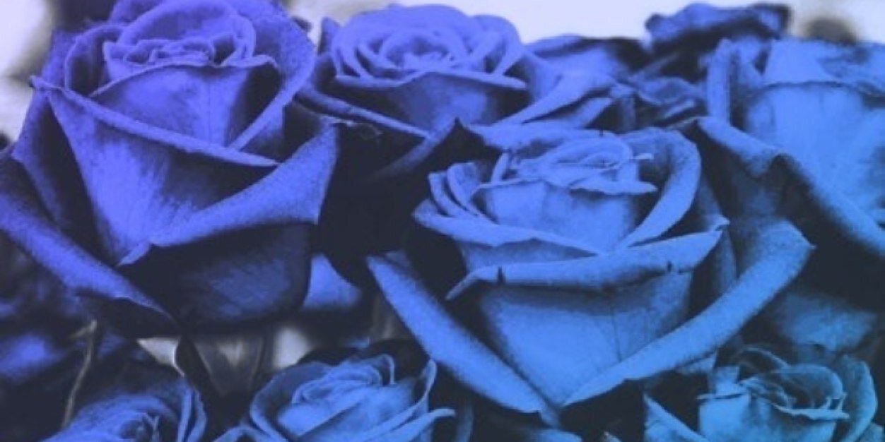 Stef_Karma's profile banner image