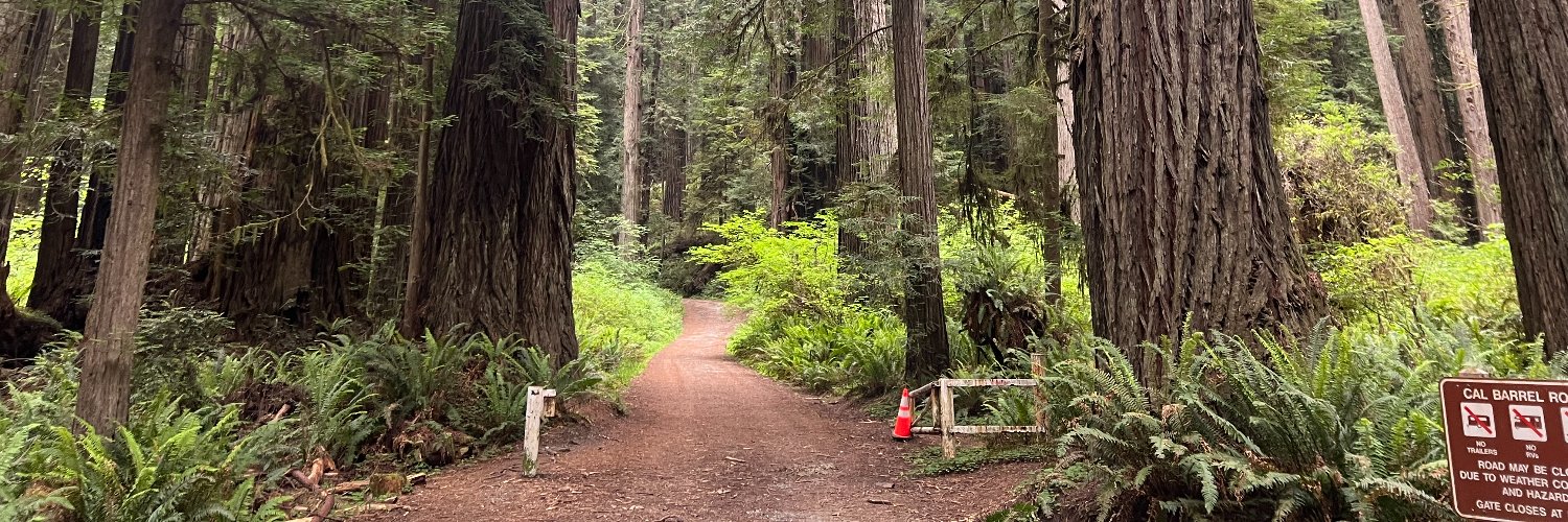 MirandaGirl24's profile banner image