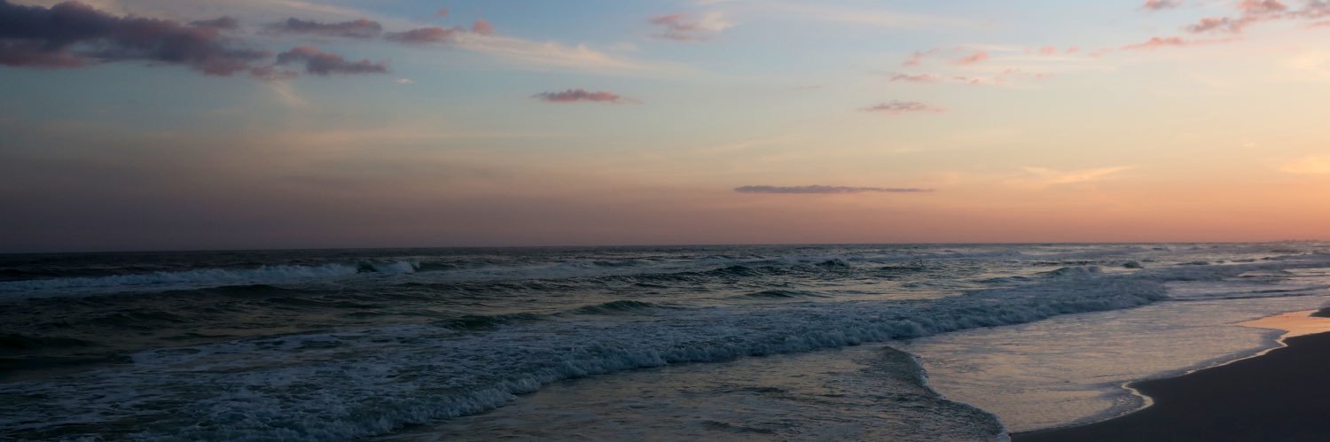 RelbyRynnReeves's profile banner image