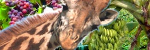 _delta_t's profile banner image
