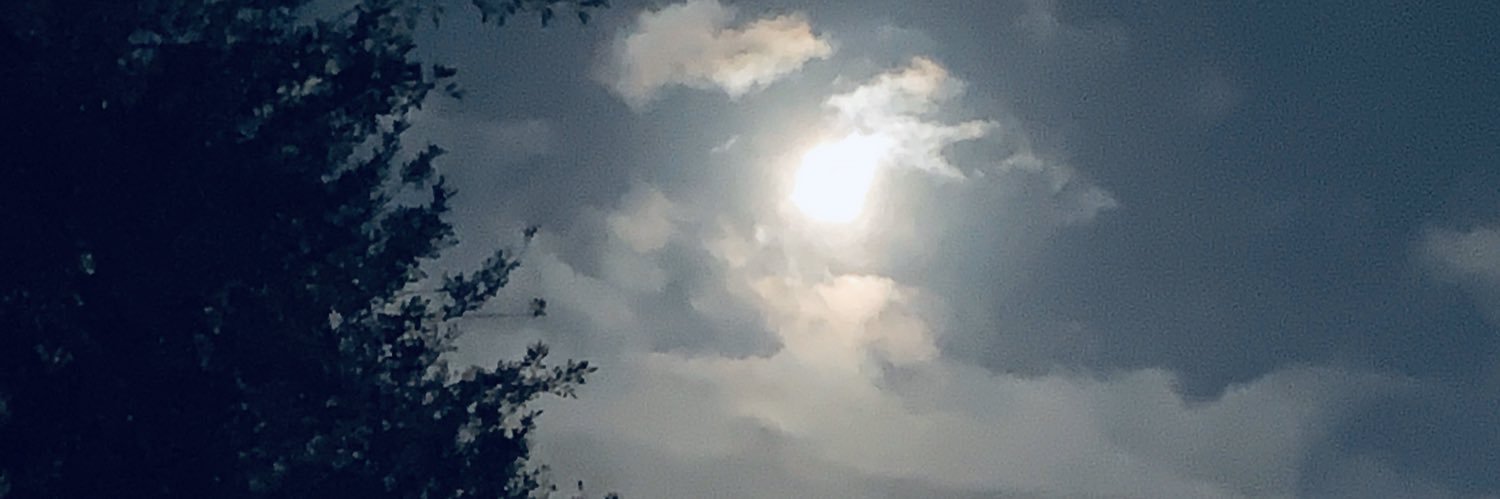misabelmf's profile banner image